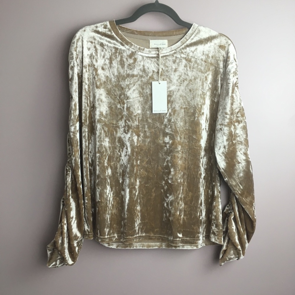 MelloDay Velvet Long Sleeve Ruched Top L NWT